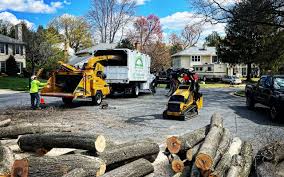 Seasonal Cleanup (Spring/Fall) in Onancock, VA